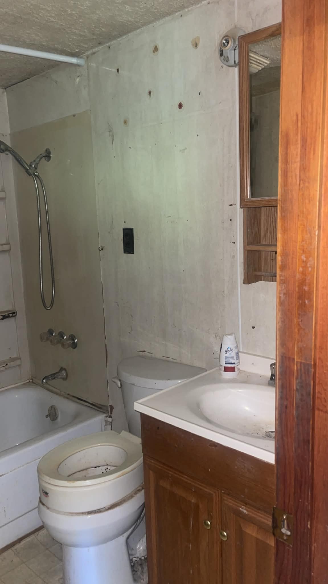 Toilet Installation — before